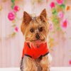 Teacup Yorkie Puppy diamond painting