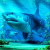 The Megalodon Shark diamond painting