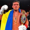 The Boxer Oleksandr Usyk diamond painting