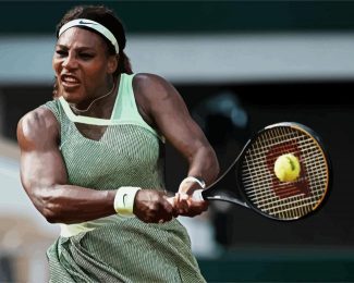 The Tennis Player Serena Williams diamond painting