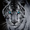 Tiger With Blue Eyes diamond painting