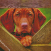 Vizsla Dog diamond painting