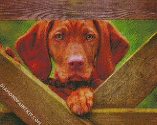 Vizsla Dog diamond painting