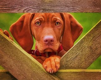 Vizsla Dog diamond painting