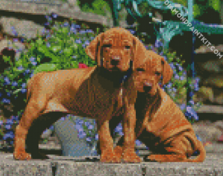 Vizsla Puppies diamond painting