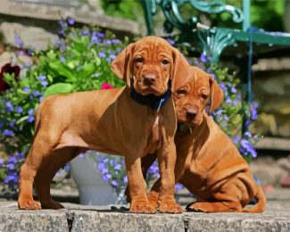 Vizsla Puppies diamond painting