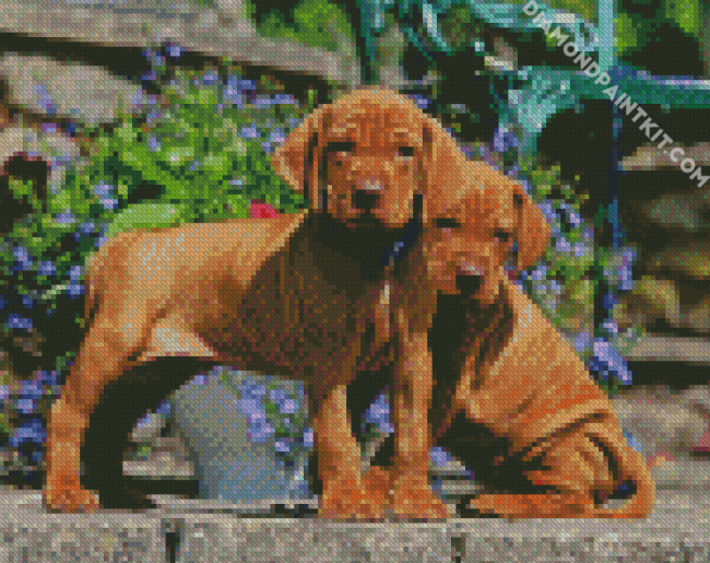 Vizsla Puppies diamond painting