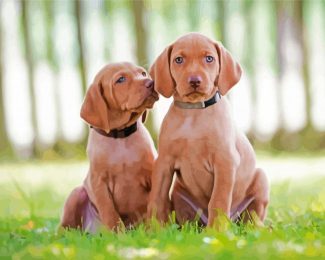 Vizsla Puppies Dogs diamond painting