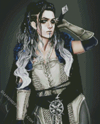 Warrior Viking Lady diamond painting