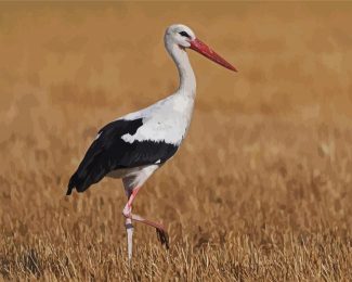 White Stork Bird diamond painting