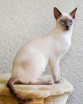 White Siamese diamond painting