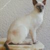 White Siamese diamond painting