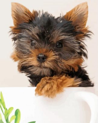 Yorkie Puppy diamond painting