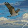 Osprey Bird Flying diamond painting