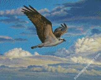 Osprey Bird Flying diamond painting