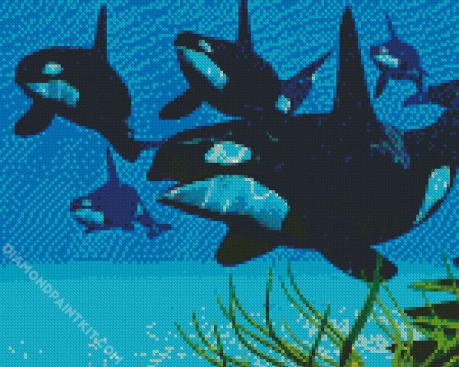 The Killer Whale diamond painting