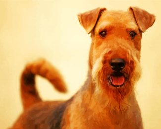 Airedale Terrier Animal diamond painting