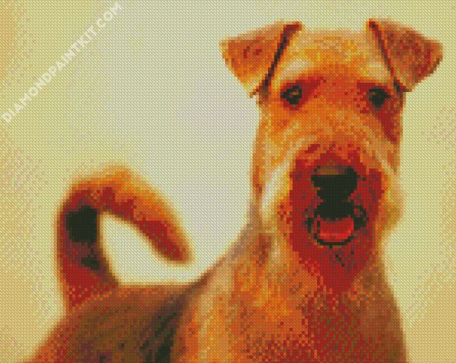 Airedale Terrier Animal diamond painting