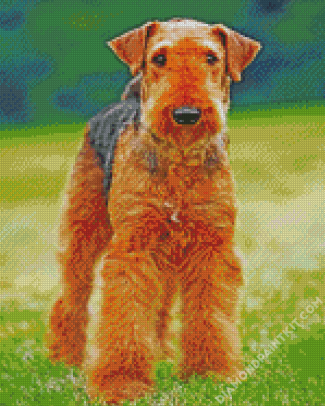 Airedale Terrier Brown Dog diamond painting