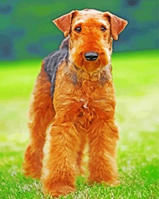 Airedale Terrier Brown Dog diamond painting