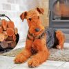 Airedale Terrier Dog diamond painting