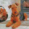 Airedale Terrier Dog diamond painting