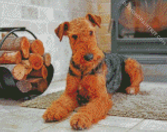 Airedale Terrier Dog diamond painting