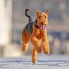 Airedale Terrier Running diamond painting