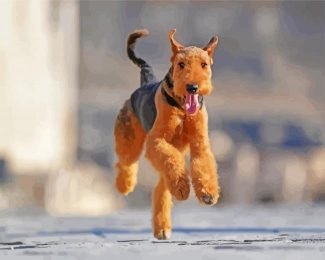 Airedale Terrier Running diamond painting