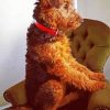 Airedale Terrier Sitting diamond painting