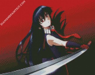 Akame diamond painting