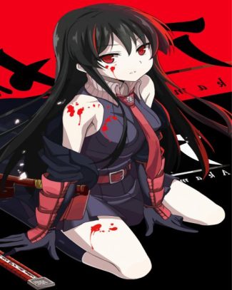 Akame Character diamond painting