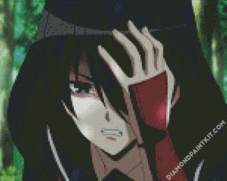 Akame Anime Character diamond painting