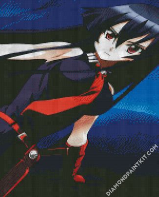 Akame Anime Girl diamond painting