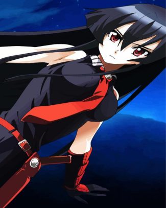 Akame Anime Girl diamond painting