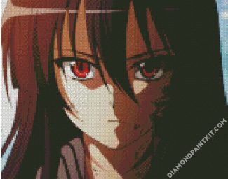 Akame Face diamond painting