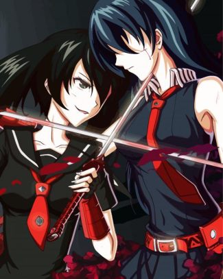 Akame Vs Kurome diamond painting