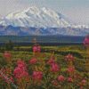 Alaska Denali Mountain diamond painting