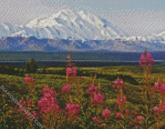 Alaska Denali Mountain diamond painting