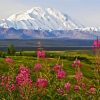 Alaska Denali Mountain diamond painting