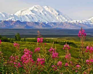 Alaska Denali Mountain diamond painting