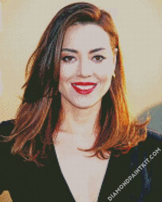 American Actress Aubrey Plaza diamond painting