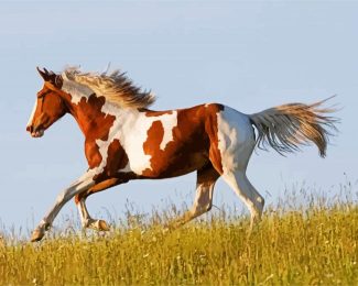 American Paint Horse Running diamond painting