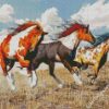 American Paint Horses diamond painting