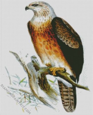 Aquila Art diamond painting