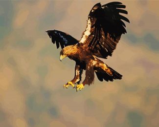 Aquila Eagle Bird diamond painting