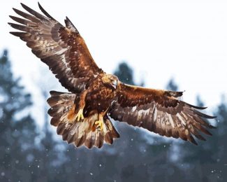 Aquila Eagle diamond painting