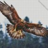 Aquila Eagle diamond painting