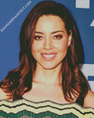 Aubrey Plaza diamond painting