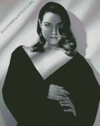 Aubrey Plaza In Black And White diamond painting